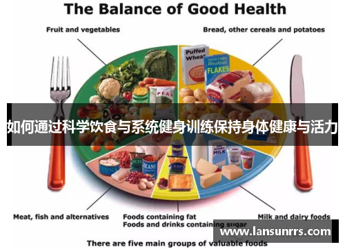 如何通过科学饮食与系统健身训练保持身体健康与活力