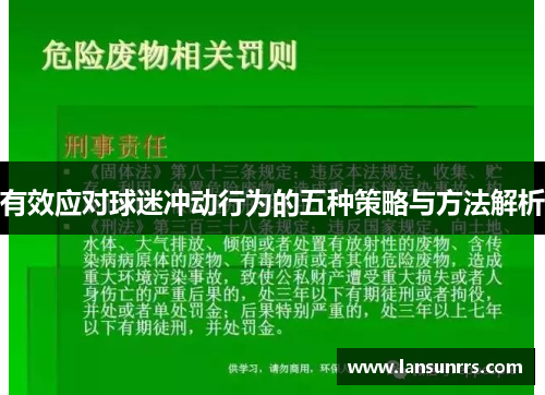 有效应对球迷冲动行为的五种策略与方法解析